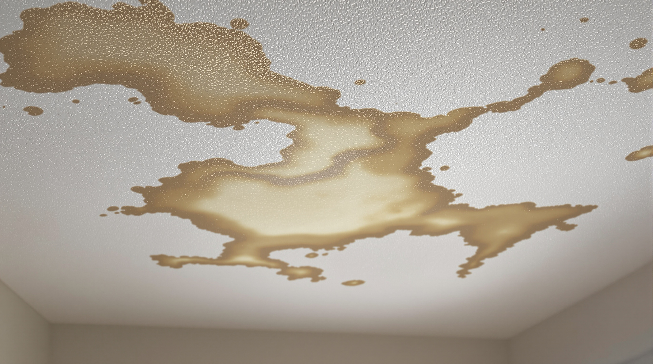 Comment choisir ses couleurs de peinture intérieure ? – La Rochelle